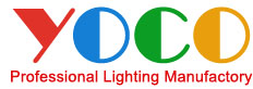 GUANGZHOU CHINADISCOLIGHT CO.LTD
